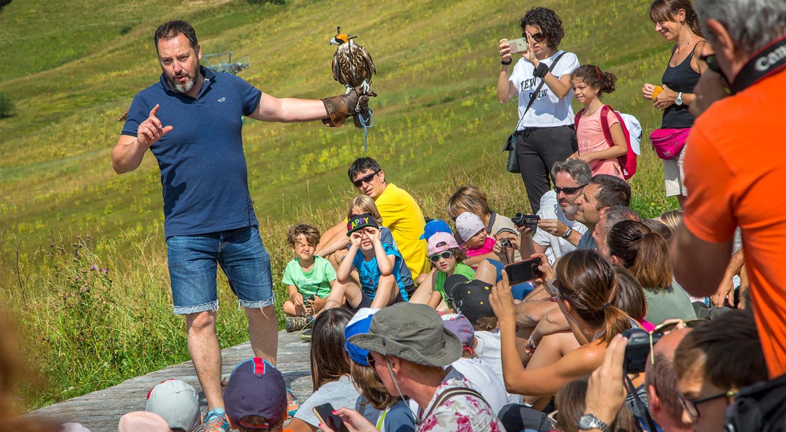 Addestratore di falchi