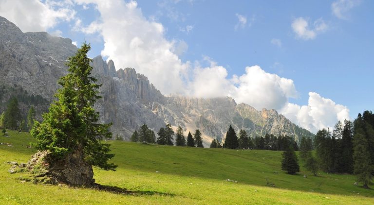 Monti Trentino